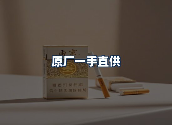 专业团队办公环境